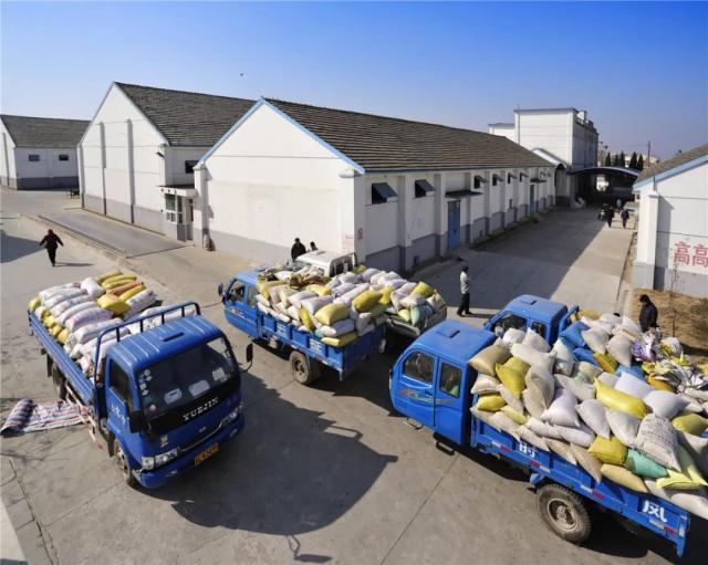 迎接第39個(gè)世界糧食日,市糧食收儲中心這樣做&hellip;