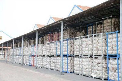 一棵樹、一塊板、一頭蒜,邳州現代農業這篇文章大有所為-財經頻道-手機